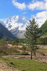 Similar image 1422933