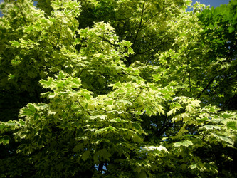 Similar image 1422985