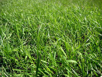 Similar image 1422988