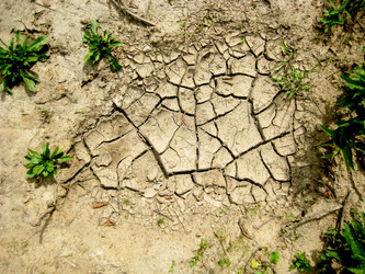 Similar image 1423012