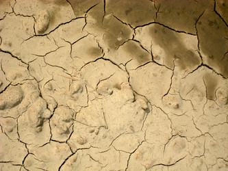 Similar image 1423013