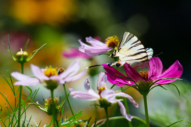 Similar image 1423027