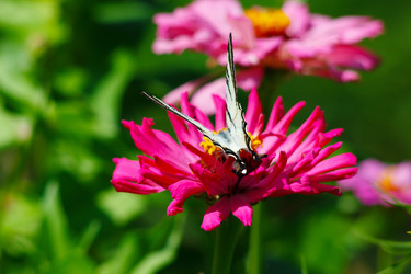 Similar image 1423028