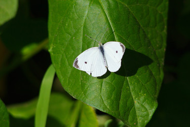 Similar image 1423040