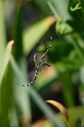 Similar image 1423055