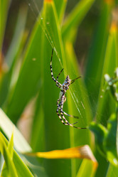 Similar image 1423056