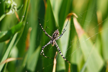 Similar image 1423057