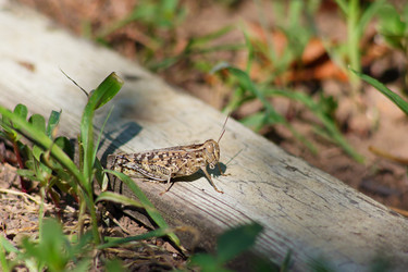 Similar image 1423058