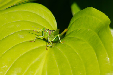 Similar image 1423060