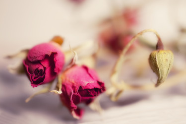 Similar image 1423063