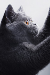 Similar image 1423086