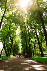 Similar image 1423128