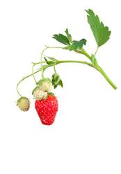 Similar image 1423131