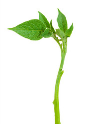 Similar image 1423139