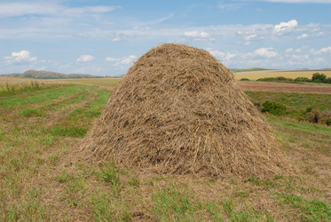 Similar image 1423143