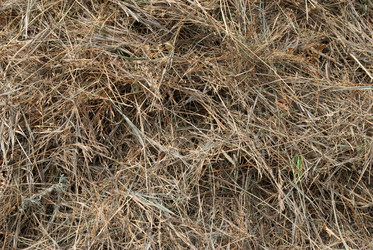 Similar image 1423144