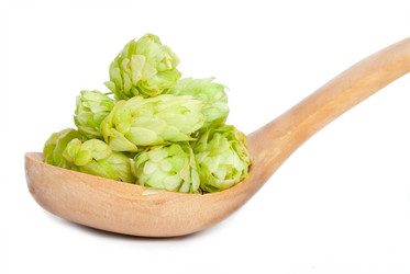 Similar image 1423149