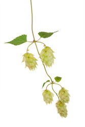 Similar image 1423151