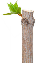 Similar image 1423154