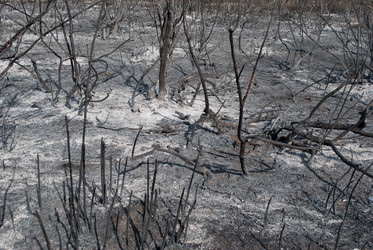 Similar image 1423159