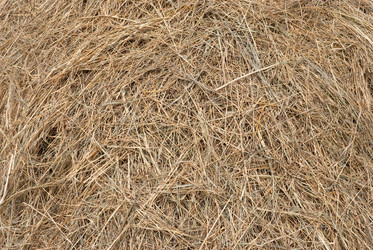 Similar image 1423161