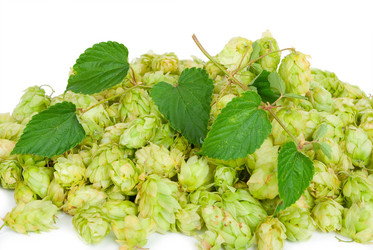 Similar image 1423162