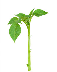 Similar image 1423163