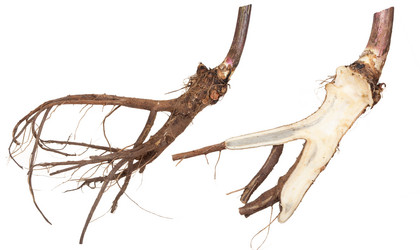 Similar image 1423165