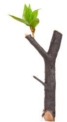 Similar image 1423167