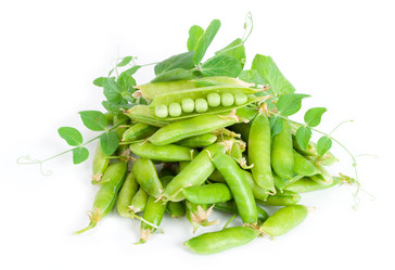 Similar image 1423173