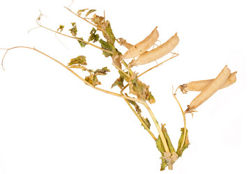 Similar image 1423174