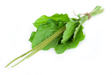 Similar image 1423177