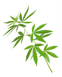 Similar image 1423180