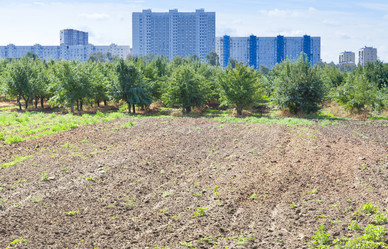 Similar image 1423184