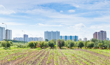 Similar image 1423186