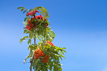 Similar image 1423192