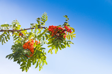 Similar image 1423199