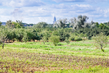 Similar image 1423201