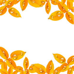 Similar image 1423267