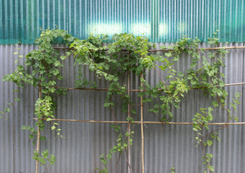 Similar image 1423572