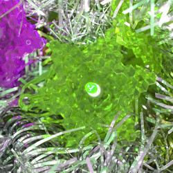 Similar image 1423614