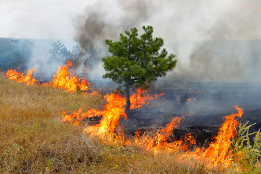 Similar image 1423627