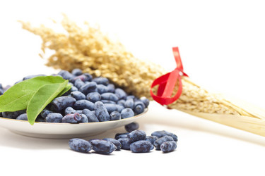 Similar image 1423635