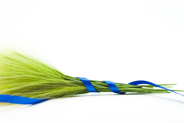 Similar image 1423636