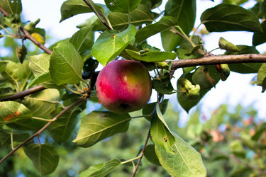 Similar image 1423666