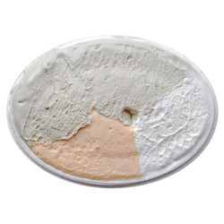 Similar image 1423720