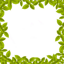 Similar image 1423724