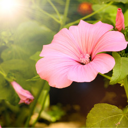 Similar image 1423732