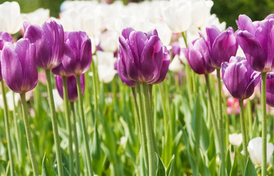 Similar image 1423746