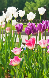 Similar image 1423747